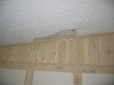 hurricanecharley 056 